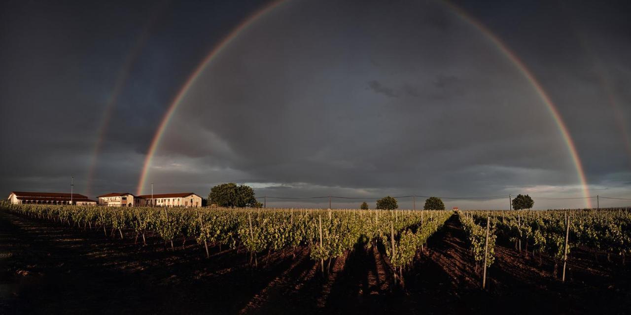 Domeniile Panciu Winery & Resort Sarbi  Εξωτερικό φωτογραφία