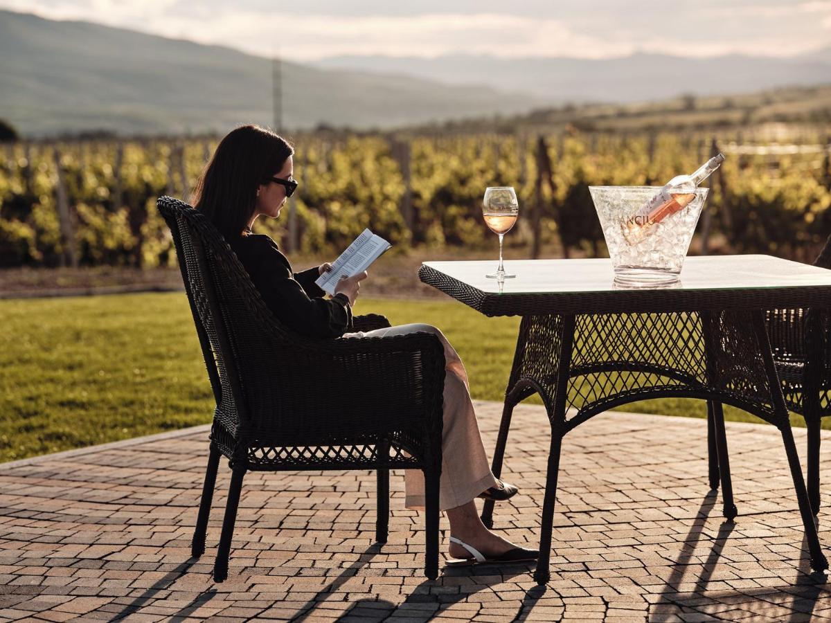 Domeniile Panciu Winery & Resort Sarbi  Εξωτερικό φωτογραφία